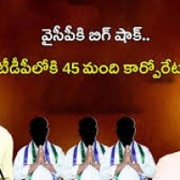  45 మంది కార్పొరేటర్లు టీడీపీ గూటికి