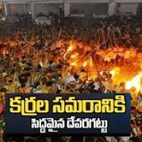  12న బన్నీ ఉత్సవం