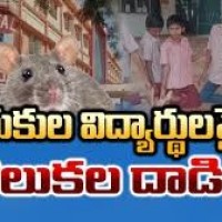 గురుకులాల్లో ఎలుకలు...