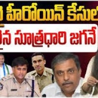 జత్వానీ కేసు సూత్రధారి జగన్ రెడ్డే - జిల్లా మహిళ అధ్యక్షురాలు తలశిల స్వర్ణ లత...