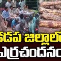 కడప జిల్లా ఎర్ర చందనం స్మగ్లర్ల అడ్డా...