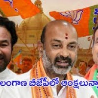 2019కి ముందు... తర్వాత కమలంలో గ్రూపులు... వర్గాలు