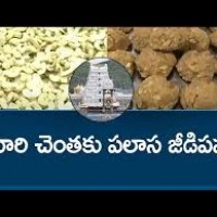 టీటీడీకి పలాస జీడిపప్పు...