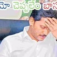  వైసీపీలో వలసలు ఆగినట్టేనా