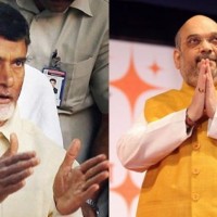 నేడే అమిత్ షాతో ఏపీ హామీలపై  చర్చలు  