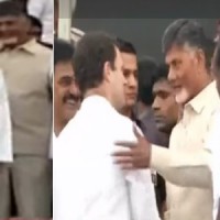 వైరల్ గా మారిన చంద్రబాబు, రాహుల్ 