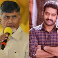 టీటీడీపీ పగ్గాలను ఎన్టీఆర్ కి అప్పగించండి 