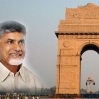 హస్తినకి చేరిన చంద్రబాబు