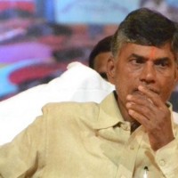 ఆభివృద్ది ఆగకూడదు : సీఎం చంద్రబాబు