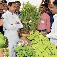  హైదరాబాద్‌లో  రైతు సదస్సు